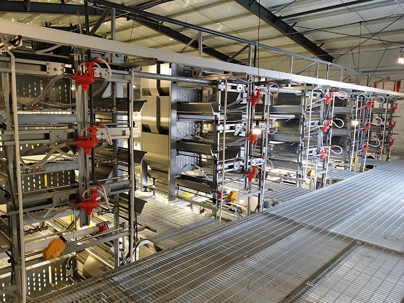 層疊式自動化育雛養(yǎng)殖設(shè)備