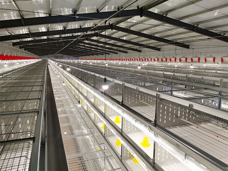 層疊式自動化育雛養(yǎng)殖設(shè)備