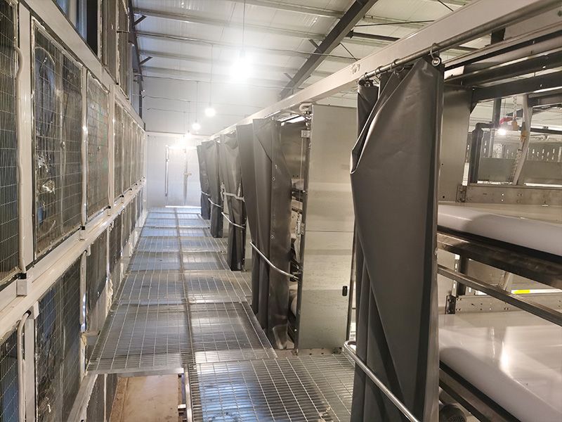 層疊式自動化育雛養(yǎng)殖設(shè)備